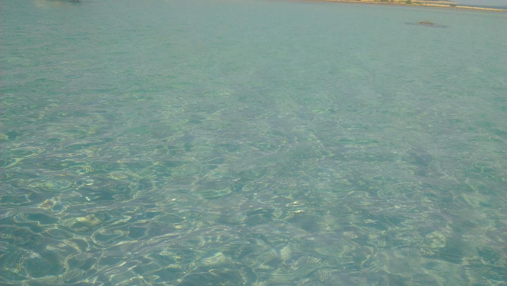 Apartment Feliks Mandre Εξωτερικό φωτογραφία